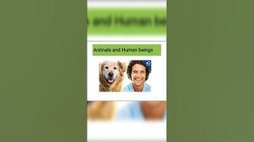 Animal kingdom class4th / Karnataka State Board Syllabus  @sabeehamss