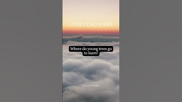 Where do young trees go to learn?!😆😂🤣 #shorts #jokes #funny #dadjokes #youtubeshorts #comedy