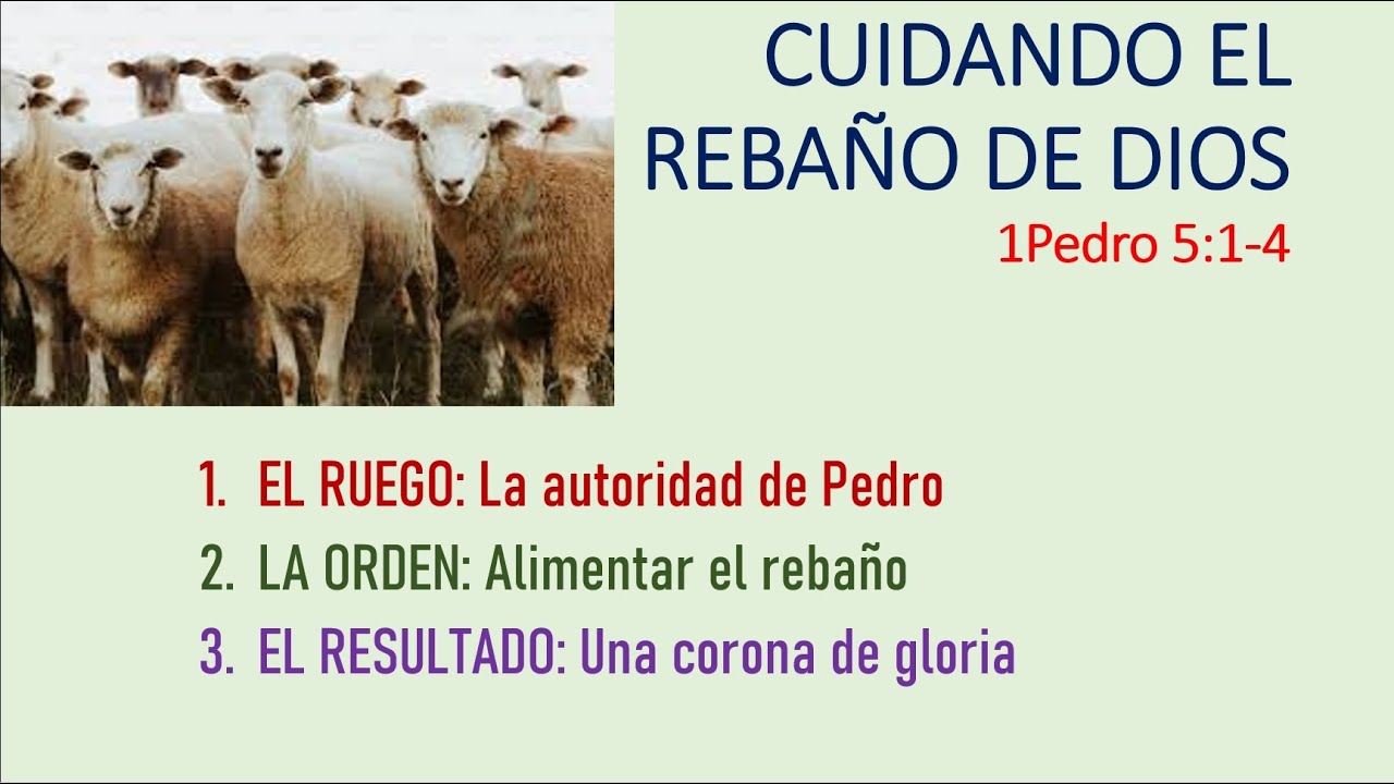 CUIDANDO EL REBAÑO DE DIOS - YouTube