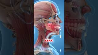 How dangerous is drooling while sleeping? #sleeping #drooling#healthtip#usa #healthyfood #america Wealth