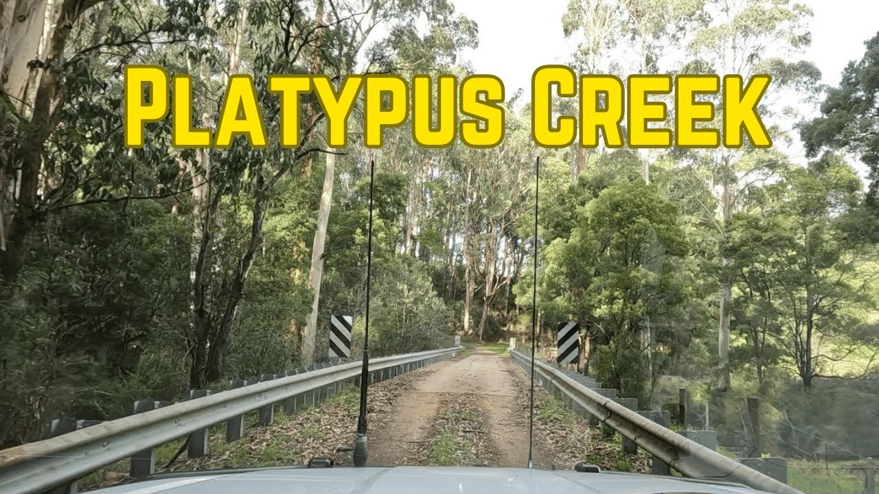 Off-Grid Camp at Platypus Creek 🏕️  Mud, Camp Fire & Otway Magic