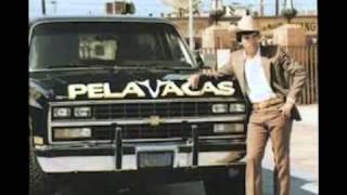 El pajaro prieto Chalino Sanchez chords