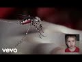 Yeah Yeah Yeahs - Mosquito