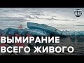 Влияние глобального потепления на мировую экономику, Безумный мир