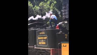 Train Engineer In Action, A Day Out With Thomas