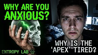The 'Apex' Lie: Why Your Brain Hates You
