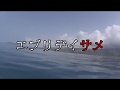 「久保ユリカが1人しゃべりなんて胃が痛い。」DVD in ハワイ(2) サンプル