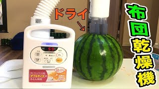スイカを布団乾燥機でドライフルーツ!! 【実験】 PDS