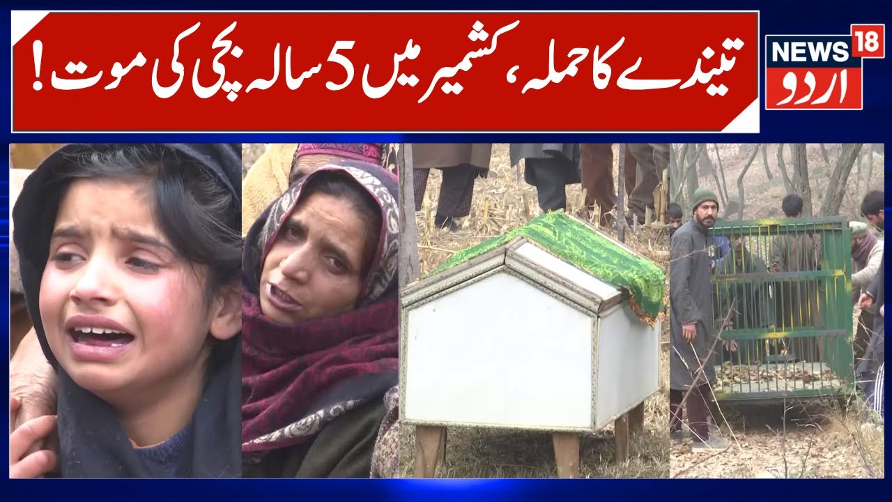 Leopard Attack Kills 5-Year-Old Girl in Anantnag Kashmir | Fear Among people, Wildlife Dept active