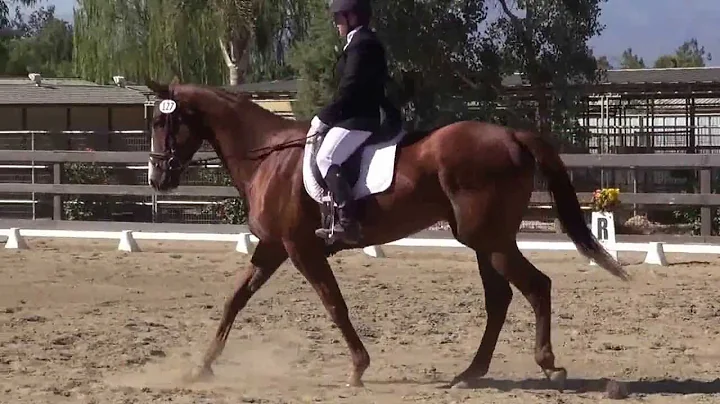 Pecora & Megan Schuchman - Training Level Test 3 -...