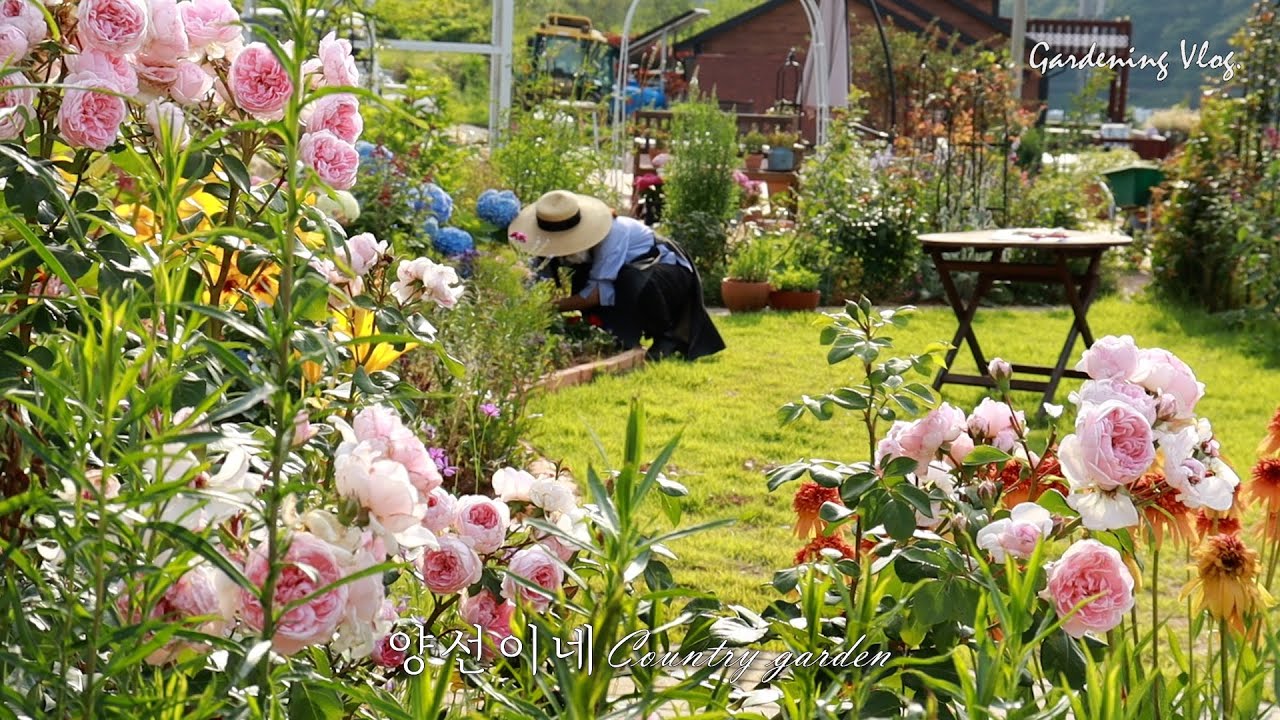 여름정원/여름 정원 즐기기/잘 생각하고 심어야 할 식물들
