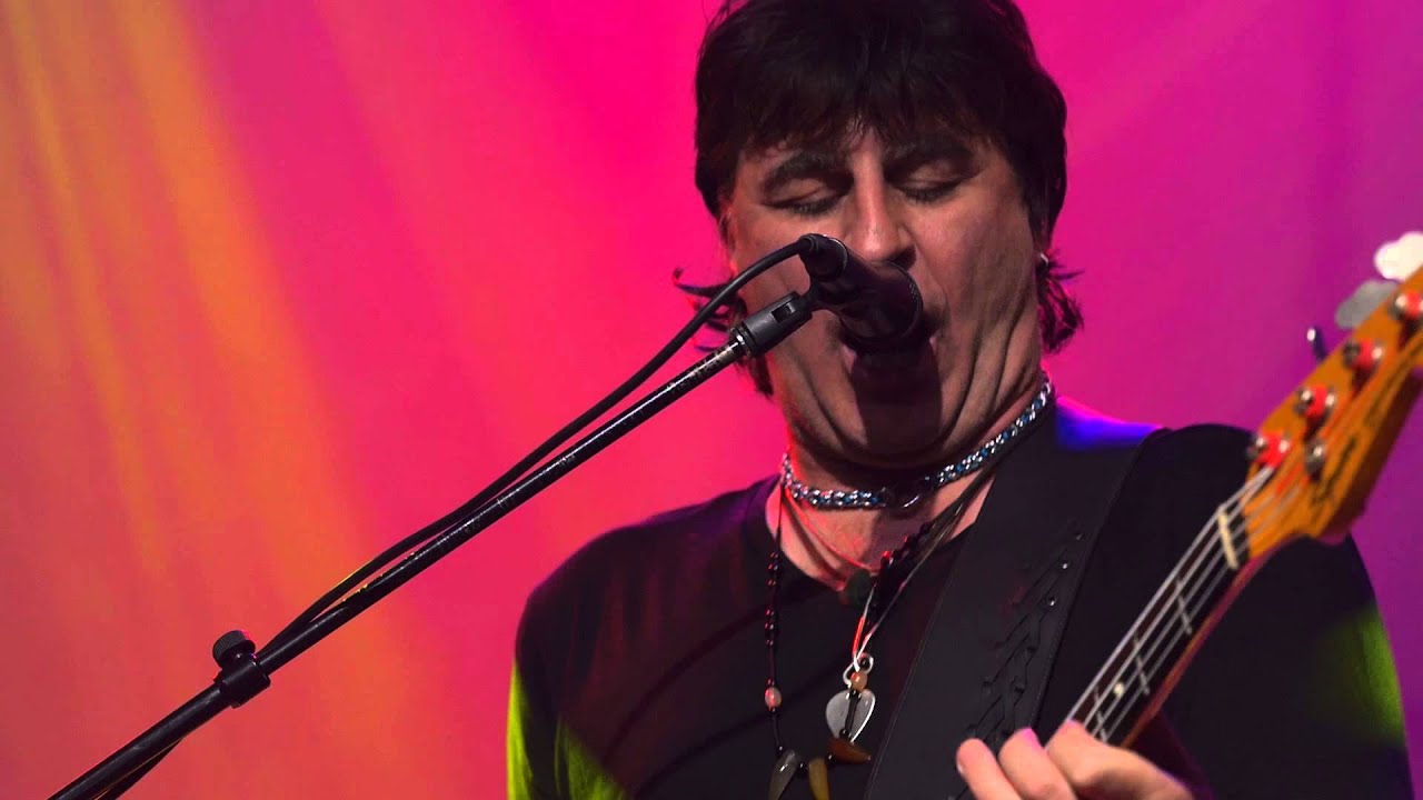 chameleons vox youtube chameleons vox youtube