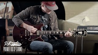 Premier DC 12-String | Todd Pritchard | D'Angelico Guitars