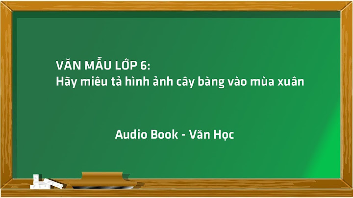 Viết một đoạn văn tả lá bàng vào mùa hè năm 2024