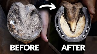 Satisfying Hoof Restoration