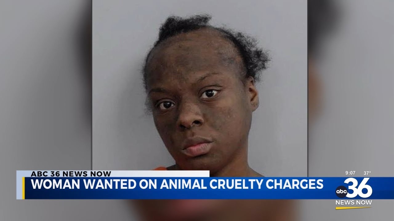 Woman wanted on animal cruelty charges - YouTube
