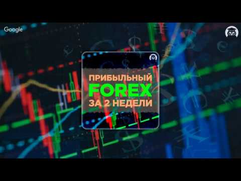 Прибыльный FOREX за 2 недели! Урок 2.