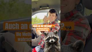 So kann’s nämlich auch funktionieren 🦝🌿 zwei Methoden Waschbären bejagen #jagd #jagen