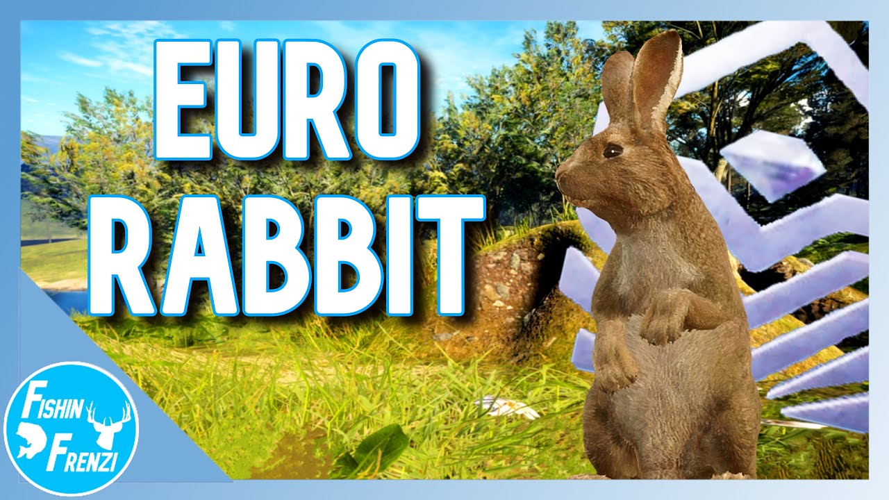 Finding A Diamond European Rabbit On Te Awaroa! | theHunter - Call of ...