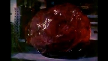 The Blob By The Five Blobs - Dancing Compilation