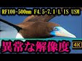 素晴らしい解像度と正確な鳥瞳ＡＦ「RF100-500mm F4.5-7.1 L IS USM」