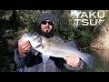 Pche du loup au spinner bait dans un fleuve du sud de la france