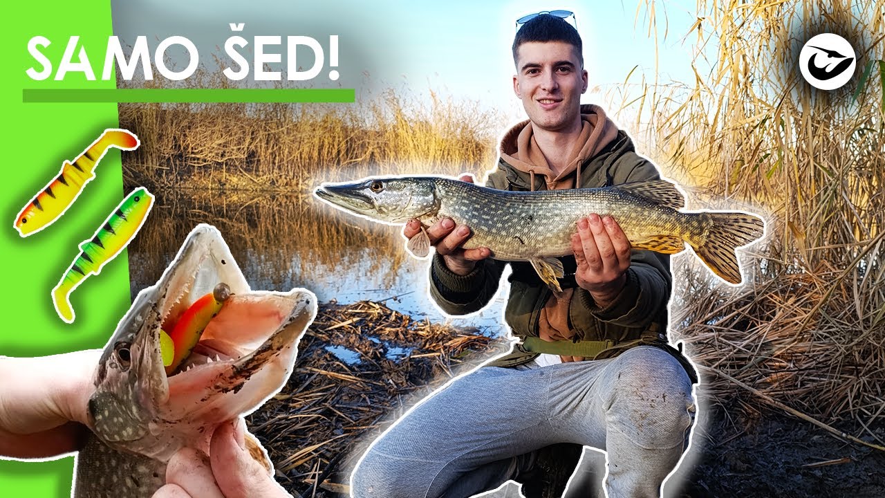 ŠTUKA NA SVAKI DRUGI ZABAČAJ! Istražujemo nove kanale!