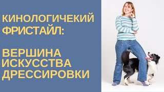 Кинологический фристайл #фристайл #танецссобакой