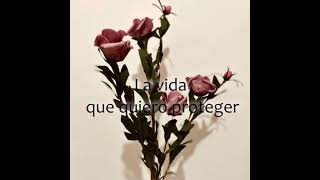 Ella es. Letra Leonel García ft Jorge Drexler