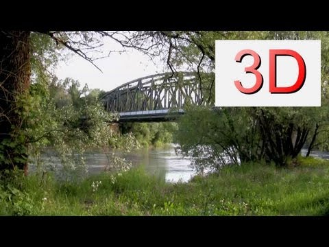 3d-video:-river-&-forest-relaxation-#1