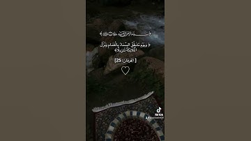 #سورة_الفرقان #قرآن #قران_كريم #quran #explore #اكسبلور