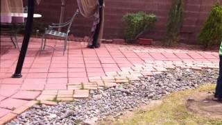 Easter 2012.wmv