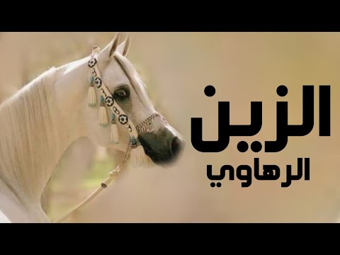 افخم شيلة رقص جديده 2025 الزين الرهاوي اداء ماجد خضير شيلات رقص 2025 طرب