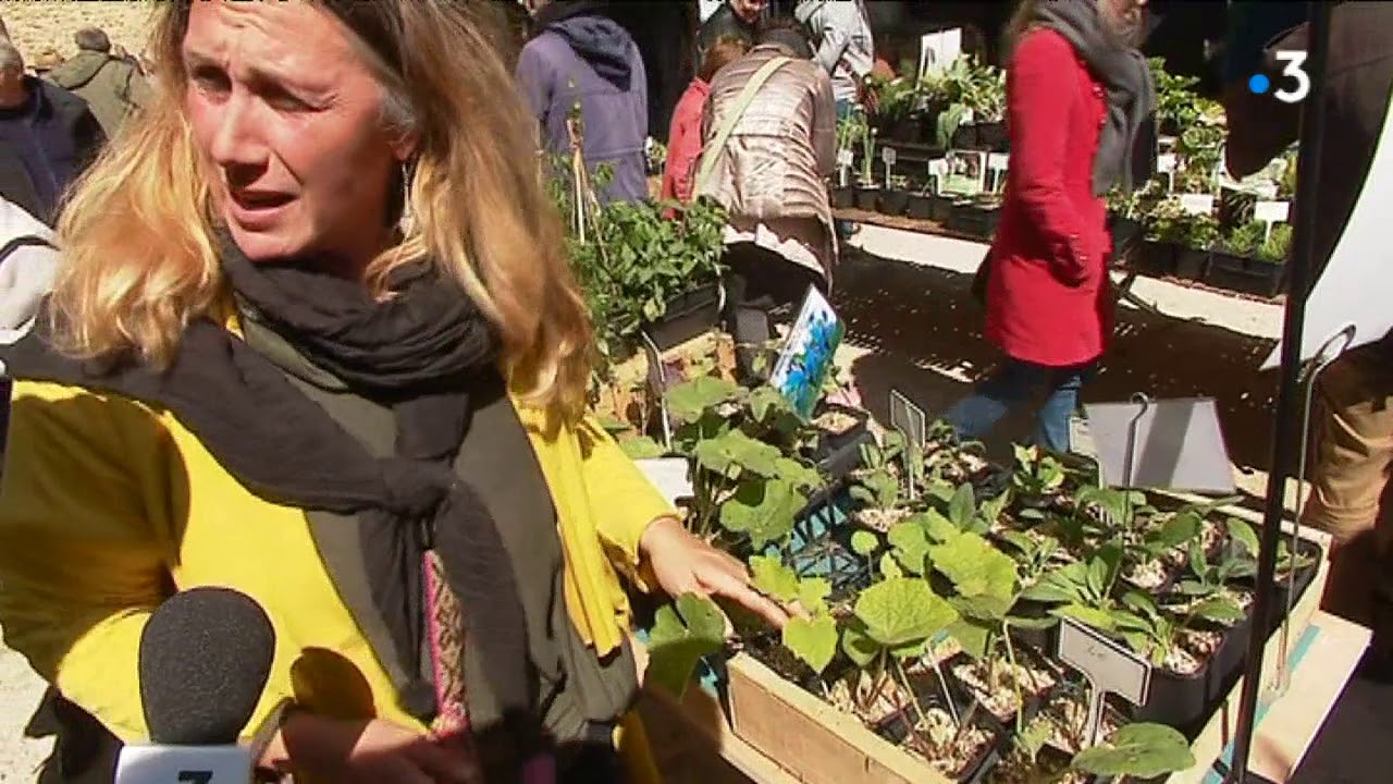 Saint-Benoît : les plantes comestibles à l'honneur du marché aux fleurs