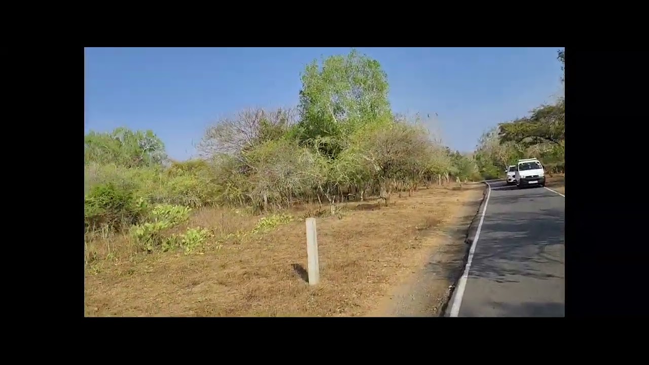 മസിനഗുഡി മുതൽ മയാർ വരെ 🌿 | Tamil Nadu Hidden Route Vlog#nature #travel #mayar #thamilnadu