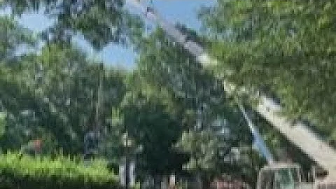 Charlottesville removes "Stonewall" Jackson statue