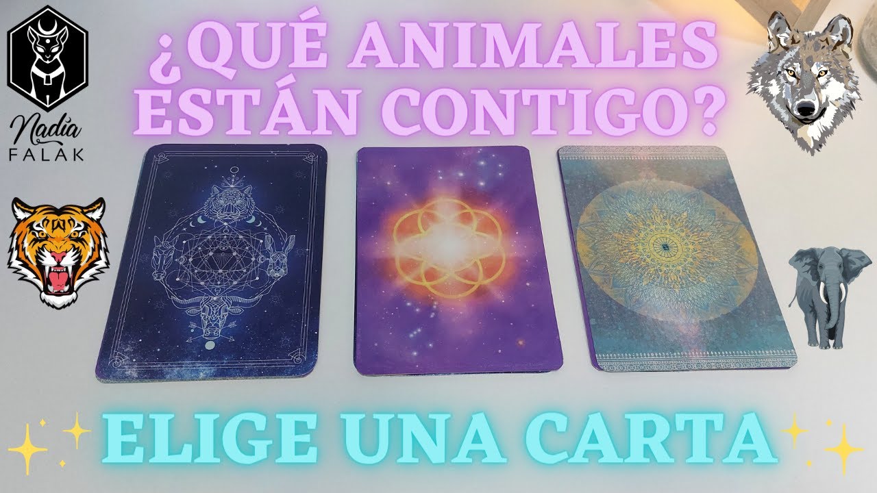🐺 ESPÍRITUS ANIMALES QUE TE ACOMPAÑAN 🐯 Tarot Interactivo 🔮 Nadia Falak ...