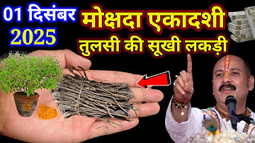01 दिसंबर एकादशी के दिन तुलसी की सूखी लकड़ी से कर लेना ये उपाय होगी हर मनोकामना.Pradeep Ji Mishra