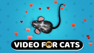 CAT GAMES  Cute Mouse. Mice Video For Cats | CAT & DOG TV | 1 Hour.