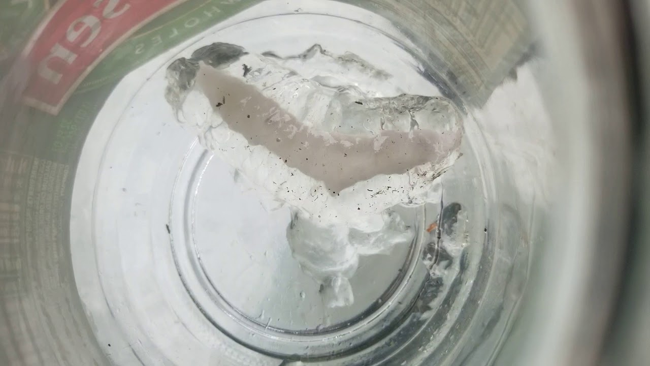 GELATINOUS MYSTERY GOO YouTube