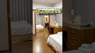 대만 타이베이 여행 가성비 숙소 스카이19 호텔 🇹🇼