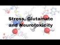 Trauma Related Brain Damage Glutamate and Neurotoxicity