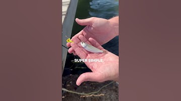 Thumbnail of Easiest FLOUNDER Fishing Rig