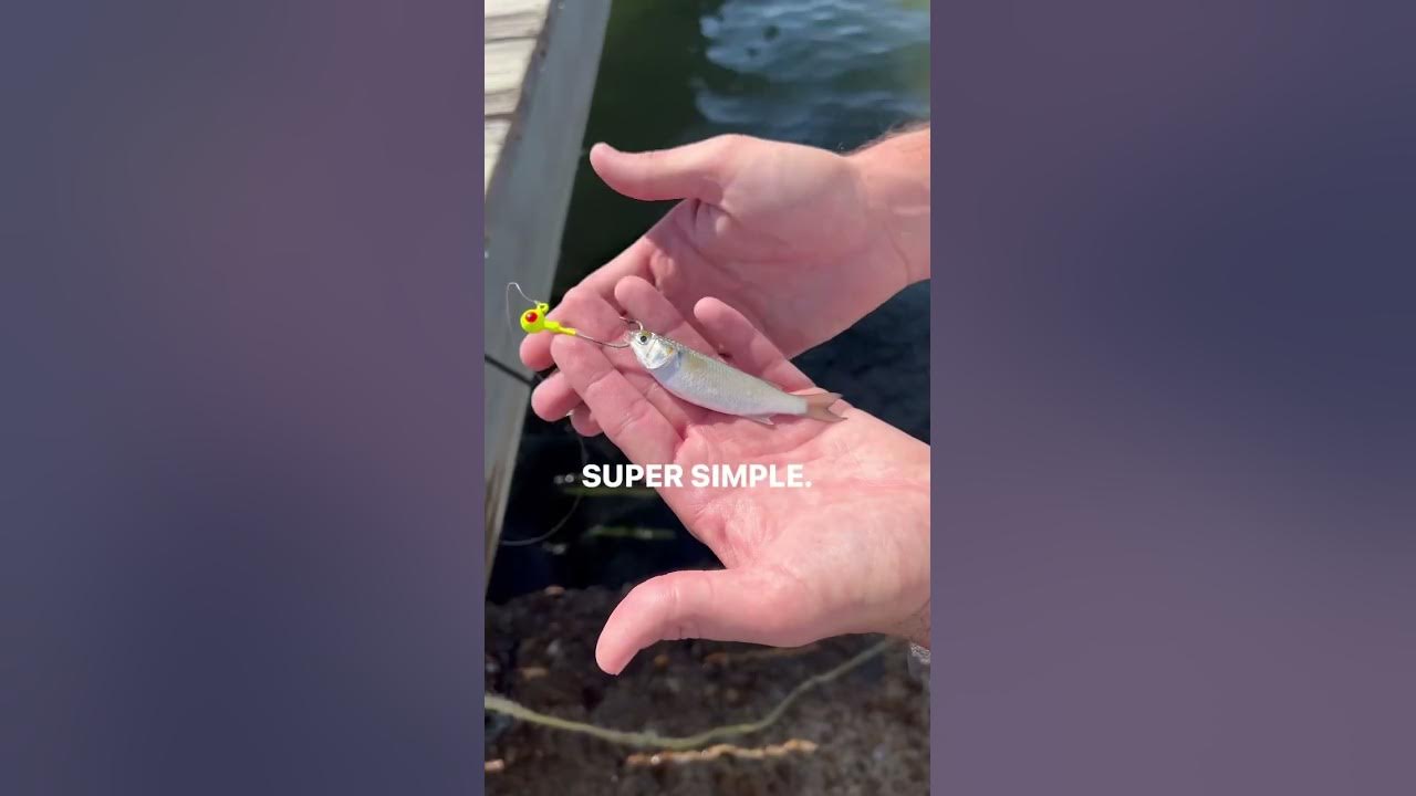 Easiest FLOUNDER Fishing Rig YouTube