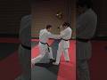 shuto uke applications (Wado Ryu)