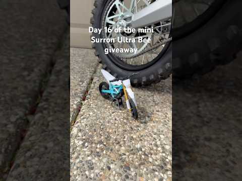 Day 16 of the mini Surron Ultra Bee giveaway #surron #bikelife #ebike #trending #shorts #foryou #fyp