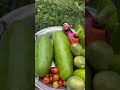 Fresh vegetables from the garden.