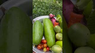 Fresh vegetables from the garden.