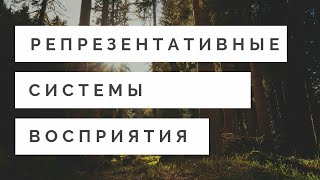 Репрезентативные системы: визуальная, аудиальная, кинестетическая, дигитальная