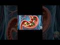 पेट में खाना कैसे पचता है? 😱 | Human Digestive System | #shorts #science#pachan #sciencecentre